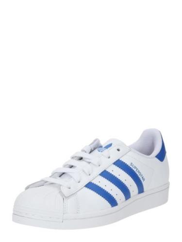 ADIDAS ORIGINALS Matalavartiset tennarit 'SUPERSTAR'  sininen / valkoi...