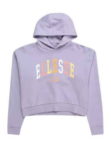 ELLESSE Collegepaita 'Buccio'  keltainen / syreeni / oranssi / valkoin...