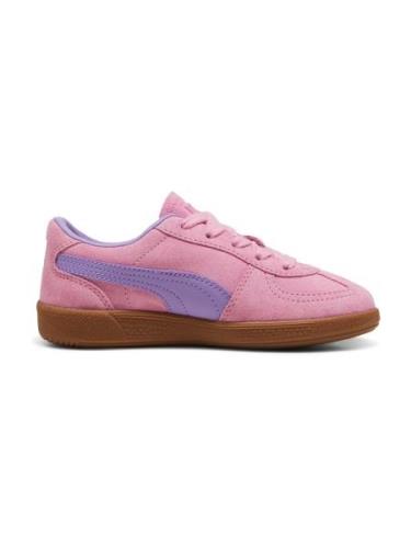 PUMA Tennarit 'Palermo PS'  kulta / luumu / vaaleanvioletti