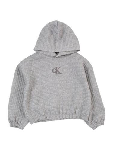 Calvin Klein Jeans Collegepaita  harmaa