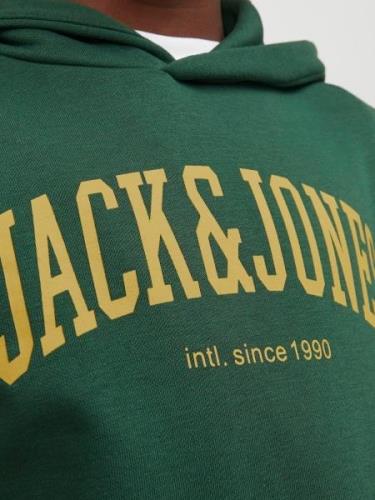 Jack & Jones Junior Collegepaita 'JJEJosh'  keltainen / kuusi