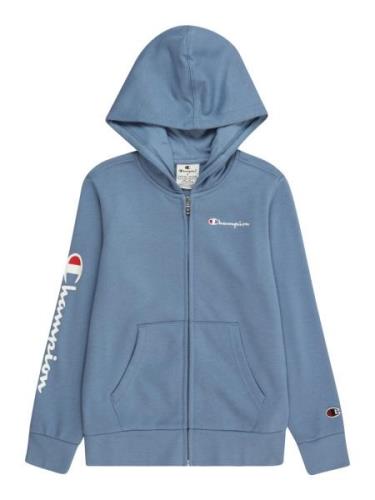 Champion Authentic Athletic Apparel Collegetakki  opaali / punainen / ...