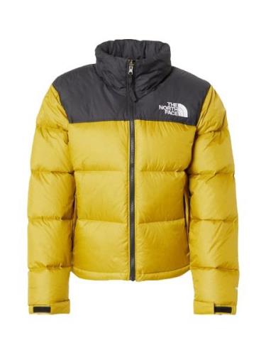 THE NORTH FACE Talvitakki '1996 Retro Nuptse'  oliivi / musta / valkoi...