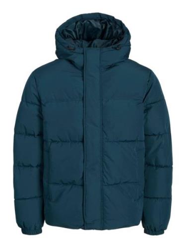 JACK & JONES Talvitakki 'BRADLEY'  petrooli