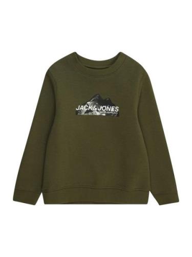 Jack & Jones Junior Collegepaita  vihreä / musta / valkoinen