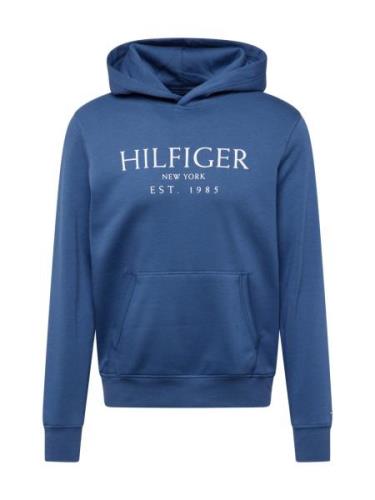 TOMMY HILFIGER Collegepaita  sininen / valkoinen