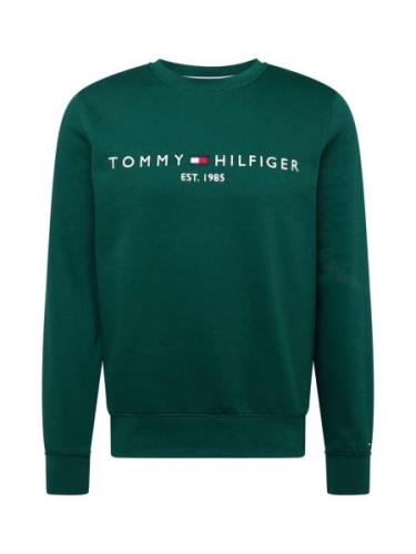 TOMMY HILFIGER Collegepaita  laivastonsininen / tummanvihreä / punaine...