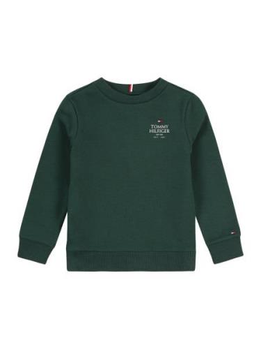 TOMMY HILFIGER Collegepaita  laivastonsininen / kuusi / valkoinen