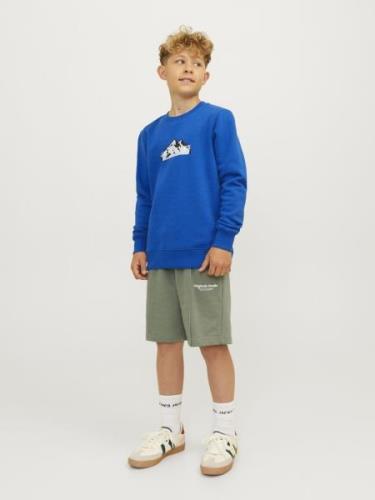 Jack & Jones Junior Collegepaita  savunsininen / kuninkaallisen sinine...