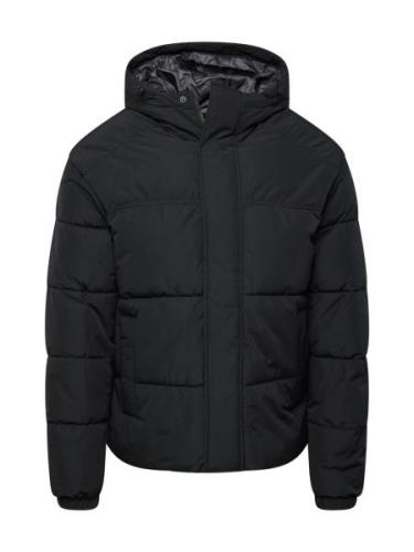 JACK & JONES Talvitakki 'JJEBRADLEY'  musta