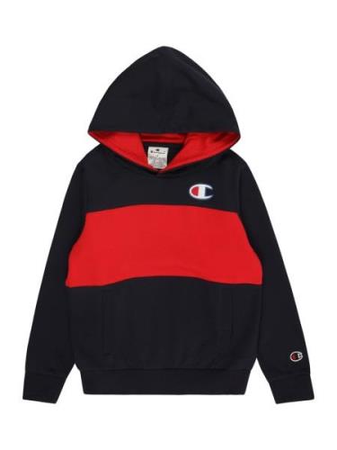 Champion Authentic Athletic Apparel Collegepaita  laivastonsininen / p...