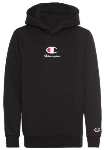 Champion Authentic Athletic Apparel Collegepaita  laivastonsininen / p...