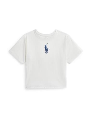 Polo Ralph Lauren Paita  vaaleansininen / tummansininen / valkoinen