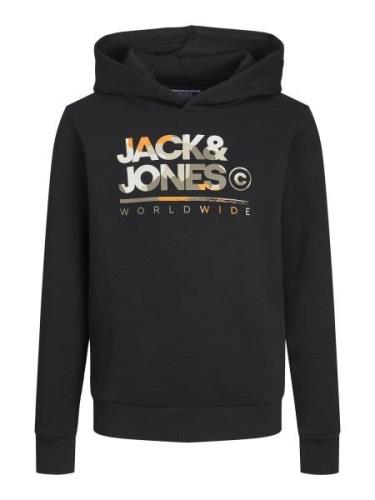 Jack & Jones Junior Collegepaita 'JJLuke'  mudanvärinen / vaaleanharma...