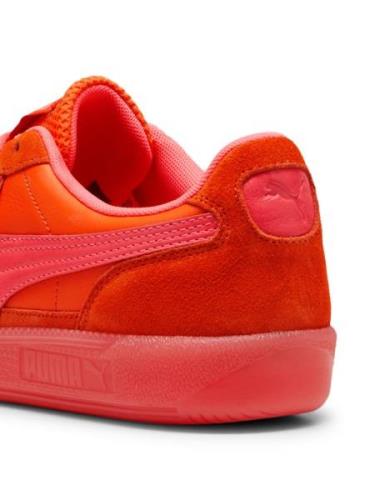 PUMA Matalavartiset tennarit 'Palermo Citrus'  neonoranssi / tummanora...