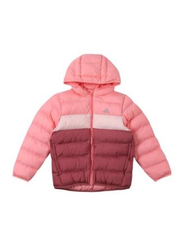 ADIDAS SPORTSWEAR Ulkoilutakki  marjat / roosa / pastellinpinkki