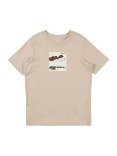 Jack & Jones Junior Paita 'JCOART'  beige / ruskea / valkoinen