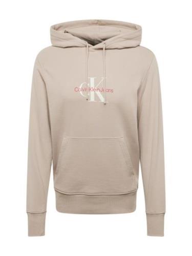 Calvin Klein Jeans Collegepaita  taupe / karpalo / valkoinen