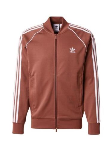 ADIDAS ORIGINALS Collegetakki 'Adicolor Classics SST'  ruskea / valkoi...