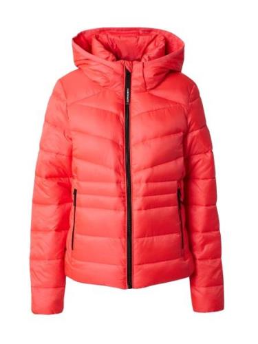 Superdry Talvitakki 'Fuji'  tumma pinkki / musta