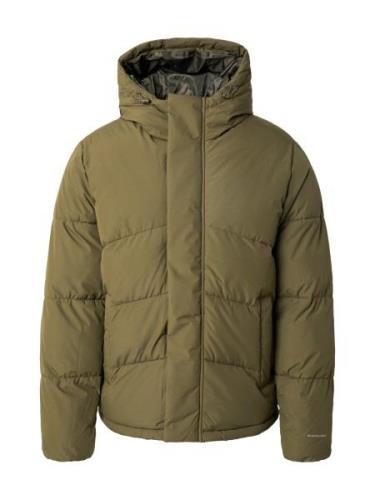 JACK & JONES Talvitakki 'JJWORLD'  oliivi