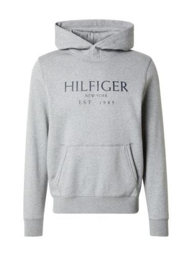 TOMMY HILFIGER Collegepaita  marine / harmaa