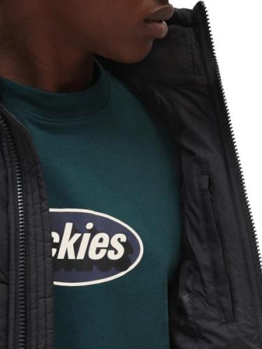 DICKIES Talvitakki 'WALDENBURG'  musta