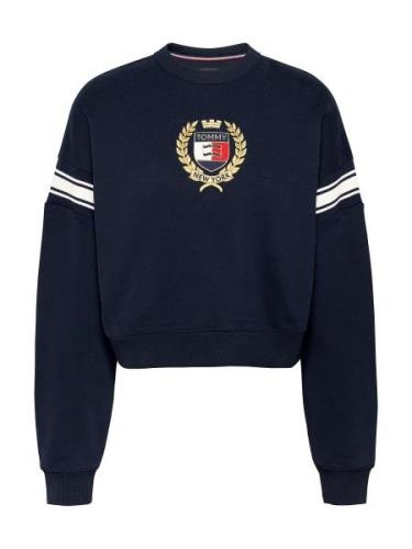 Tommy Jeans Collegepaita  laivastonsininen / kulta / punainen / valkoi...