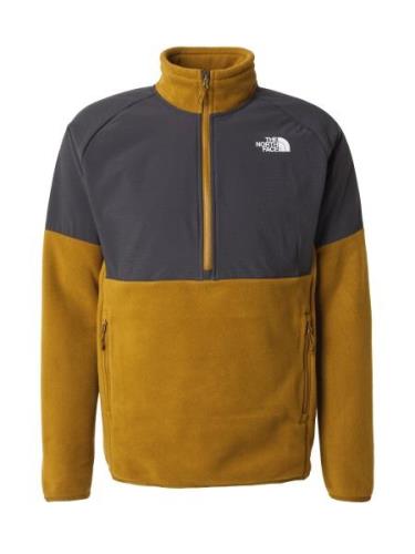 THE NORTH FACE Toiminnallinen fleecetakki 'GLACIER'  tummanharmaa / ol...