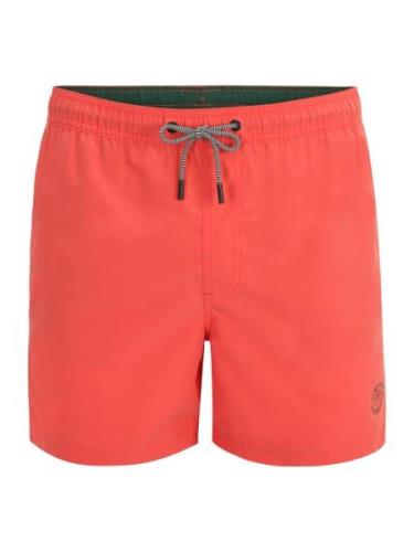 JACK & JONES Uimashortsit 'JPSTFiji'  kuusi / koralli