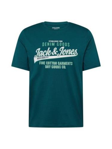 JACK & JONES Paita  minttu / tummanvihreä / valkoinen