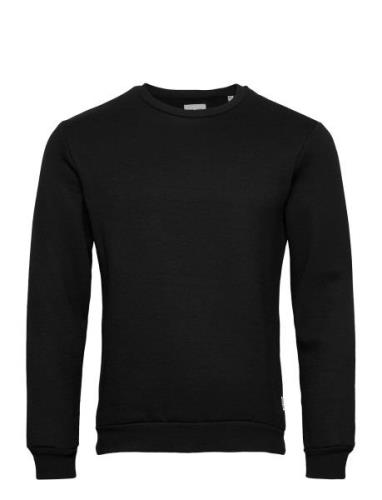 Onsceres Life Crew Neck Black ONLY & SONS