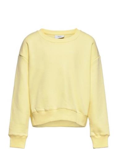 Our L Crew Sweat Yellow Grunt