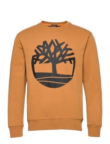 Core Logo Crew Bb Orange Timberland