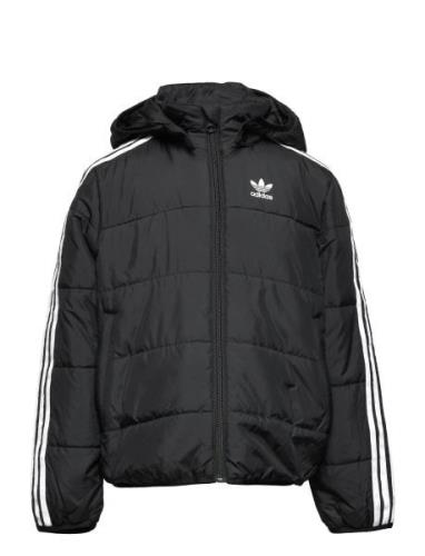 Padded Jacket Black Adidas Originals
