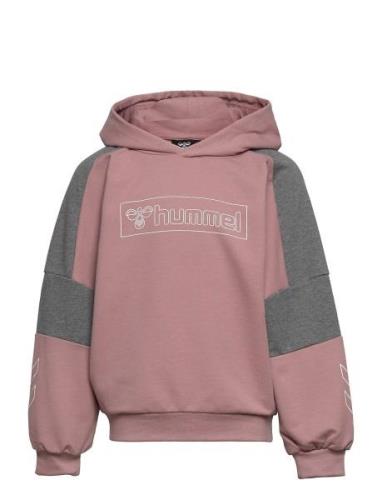 Hmlboxline Hoodie Pink Hummel