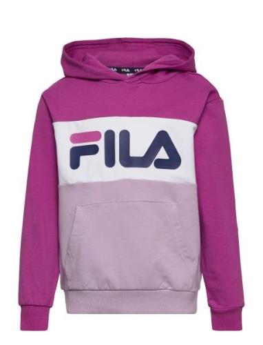 Bagana Blocked Hoody Pink FILA