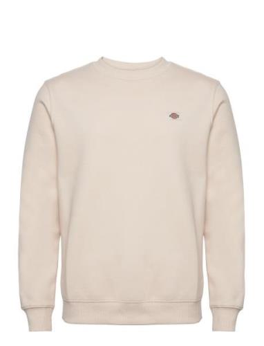 Oakport Sweatshirt Cream Dickies