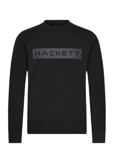 Essential Sp Crew Black Hackett London