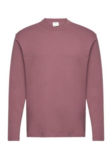 100% Cotton Long-Sleeved T-Shirt Purple Mango