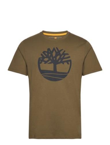 Kbec River Tree Tee Green Timberland