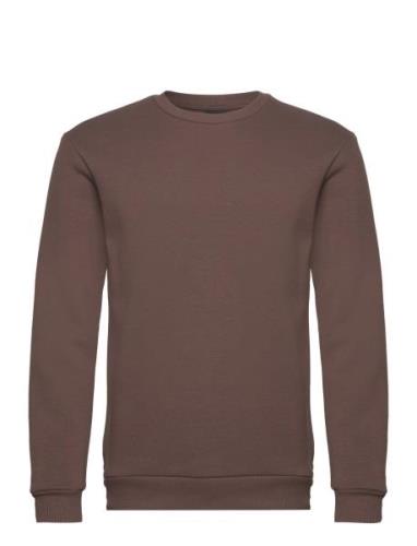 Onsceres Life Crew Neck Brown ONLY & SONS