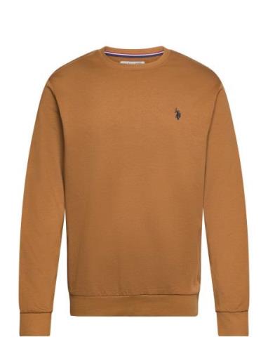 Uspa Sweat O Neck Adler Men Brown U.S. Polo Assn.