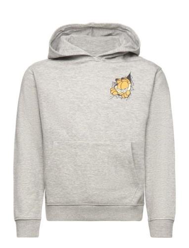 Garfield Cotton Sweatshirt Grey Mango