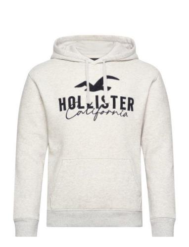 Hco. Guys Sweatshirts Grey Hollister