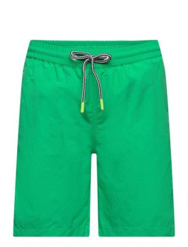 Nilson Solid Green Molo