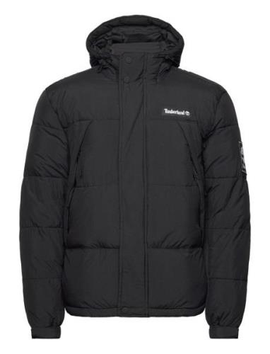 Dwr Outdoor Archive Puffer Jacket Black Timberland