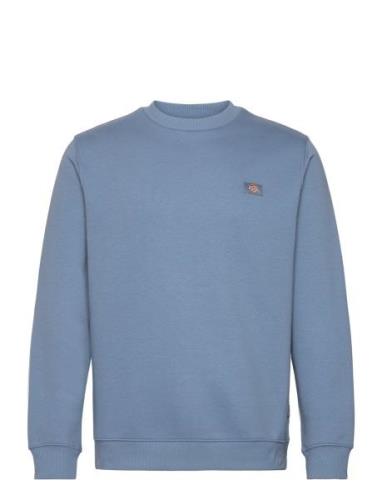 Oakport Sweatshirt Blue Dickies