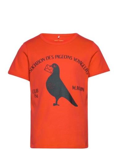 Pigeons Sp Ss Tee Orange Mini Rodini