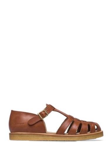 Sandals - Flat - Closed Toe - Op Brown ANGULUS